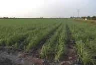 El objetivo debe ser reponer el agua usada y evaporada