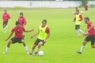 Manosantas por docena, se necesitan