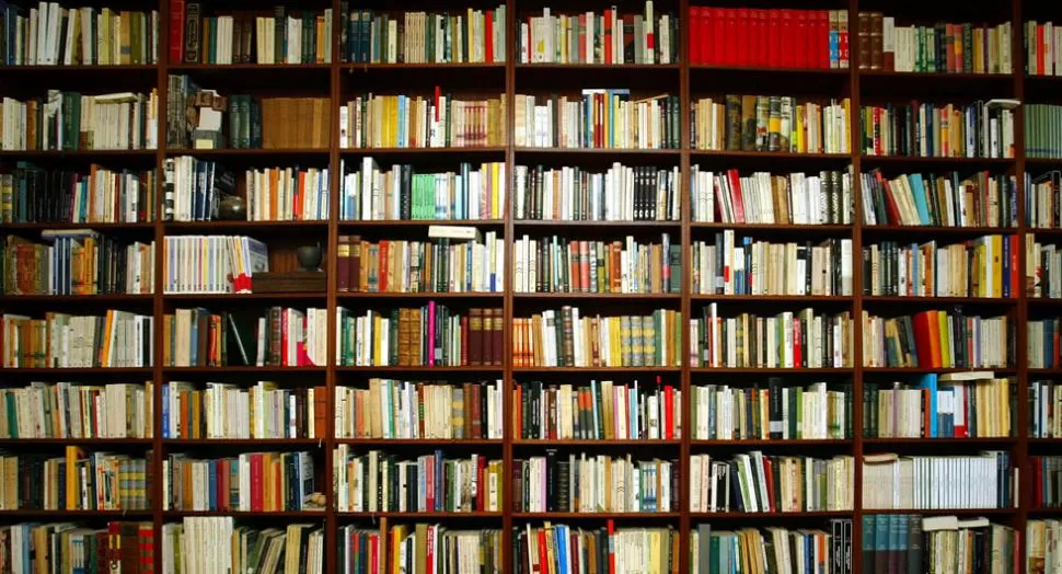 ¿Y USTED QUE LEE? Un mundo de posibilidades se encuentran en los estantes de cualquier biblioteca. FOTO TOMADA DE WORDPRESS.COM