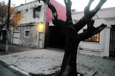 Vecinos podan los árboles contra la inseguridad