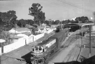 Los caminos de hierro: sin trenes se oxidan de nostalgias