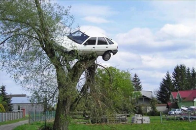 Se levantó de dormir y encontró su auto arriba de un árbol