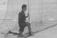 Todos los escenarios son distintos a 2011