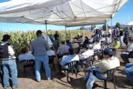 Fue exitoso el día de campo de Syngenta