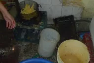 Dicen que el video de las ratas en un bar chino fue armado