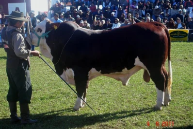 Se reunieron los Centros de Genética Bovina que quieren exportar a China