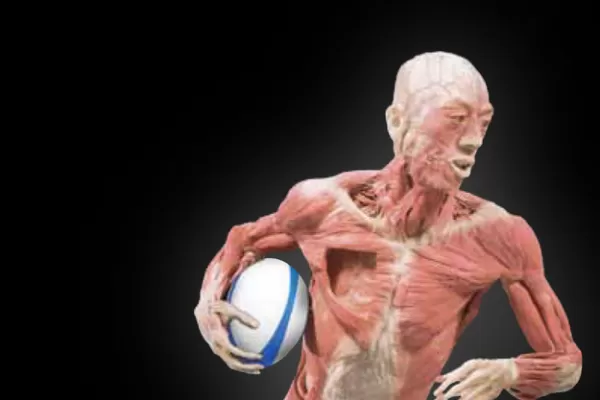 Una muestra para reflexionar sobre el cuerpo y la salud