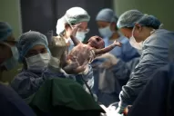 No hay nada más urgente para el recién nacido que tomar contacto con su mamá