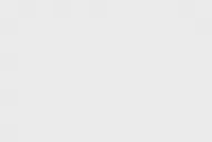 Dos insanos resultaron elegidos diputados provinciales, en 1933