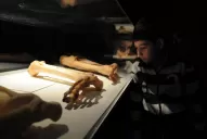 Mirando de cerca