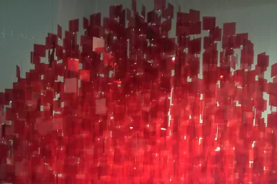 La fiesta siempre se permite los buenos negocios