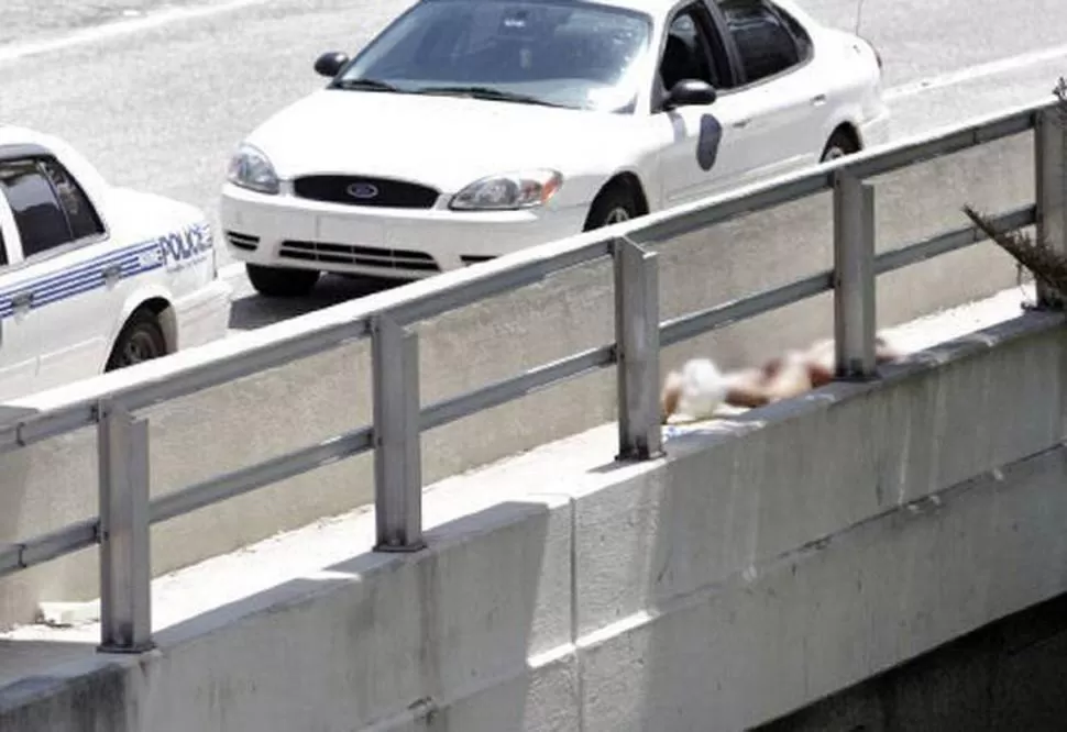 TRAS LOS DISPAROS. El hombre que mordió a su víctima quedó tendido al costado de la autopista. FOTO TOMADA DE MIAMIHERALD.COM