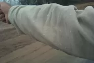 Cayeron algunos copos de nieve en Tafí del Valle
