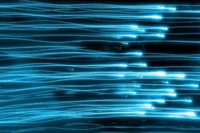 Los neutrinos respetan las leyes físicas