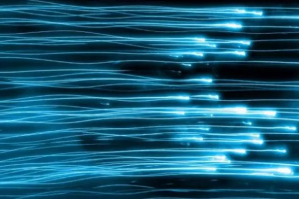 Los neutrinos respetan las leyes físicas