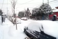 Hay evacuados en Ushuaia por el temporal de nieve