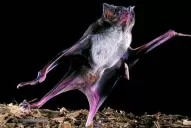 Preguntas frecuentes