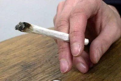 Fumar marihuana en espacios públicos no es motivo de procesamiento