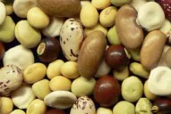 Antes de ir a dormir, evitá estas comidas