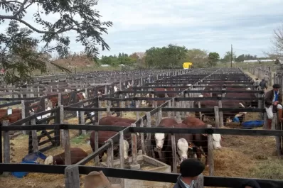 El valor de la hacienda está en recuperación, y eso es bueno