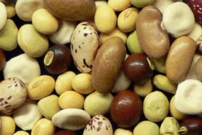 Antes de ir a dormir, evitá estas comidas