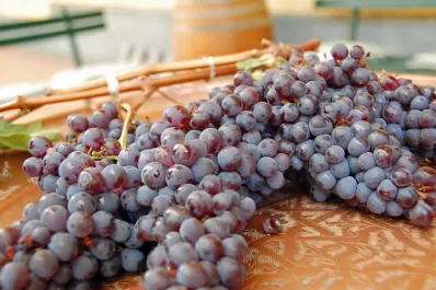 Cinco webs para darles un efecto retro a tus fotos