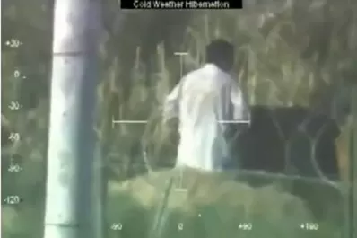 El verdadero amor de un campesino por sus vacas