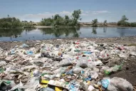 La impunidad también es un contaminante
