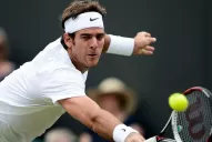 Del Potro le ganó al holandés Haase sobre el césped londinense