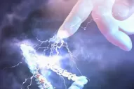 ¿Qué es el Bosón de Higgs, la partícula de Dios?