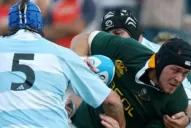 Ya designaron los árbitros que dirigirán a Los Pumas en el Rugby Championship