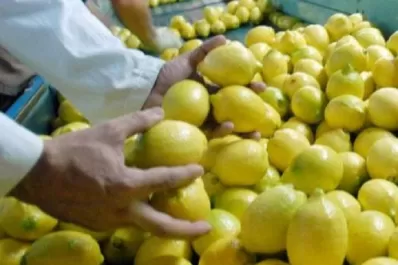Desde el Senasa destacan el trabajo responsable de los productores