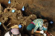 En Tucumán, ya identificaron los restos de 18 desaparecidos