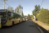 Cientos de colectivos trasladaron a los asistentes