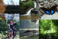 Entre sendas y senderos aprovechá para respirar la selva de San Javier