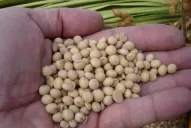 El clima externo favoreció a la Bolsa porteña, que ganó 1,29%