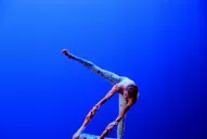 La danza hecha poema