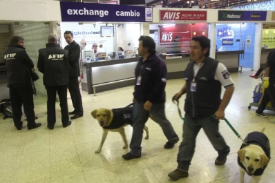 Los perros de la AFIP descubrieron más de media tonelada de cocaína en Ezeiza