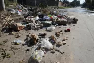 Tres horas bastan para que renazca un basural