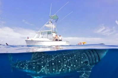 Impresionante imagen sin photoshop