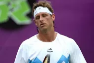 Nalbandian mordió el pasto