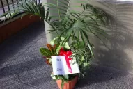 Regalo para nuestro diario