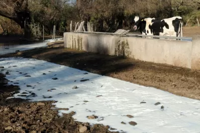 En Tucumán, los productores también derramaron leche