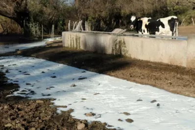 Levantaron el bloqueo y en los tambos tucumanos ya no se tirará más leche