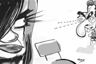 Cristina quiere instalar un gobierno chavista