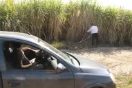 Se confirmó que los restos son de Chiaro y que el asesino ocultó el cuerpo en un cañaveral