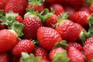 El problema más importante son las virosis que atacan los plantines