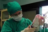 La medicina, la ley y la justicia