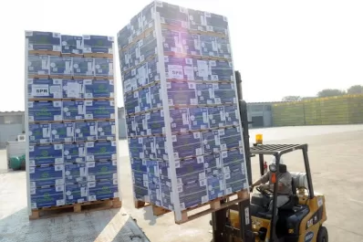 Cae la exportación de fruta fresca tucumana