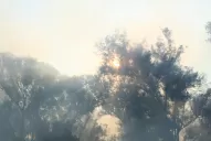 Los bomberos están listos para hacerle frente a la sequía